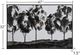 Stylecraft Tree Line Wall Art-2