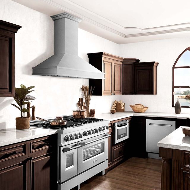 ZLINE Designer Series 48" Satin Stainless Steel Outdoor Wall Mounted Range Hood-1