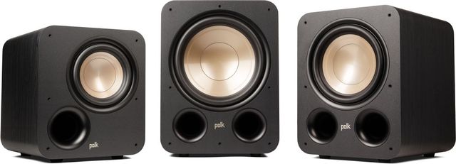 Polk Audio® Signature Elite 8" Black Powered Subwoofer-4