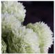 A & B Home Green 18" Faux Peony-1