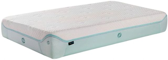 BEDGEAR® Dri-Tec® Performance Memory Foam Firm Crib and Toddler Mattress-0