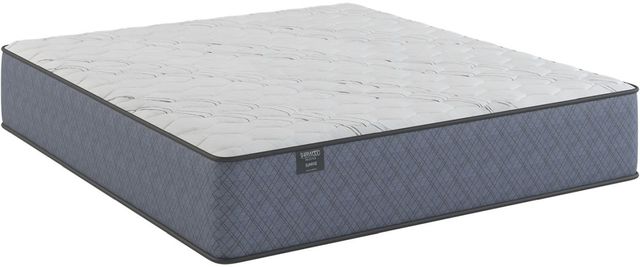 Sherwood® Bedding National Vista II Wrapped Coil 13.5" Medium Euro Top King Mattress