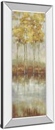 Classy Living Allison Pearce Reflections Il Mirror Framed Wall Art-3