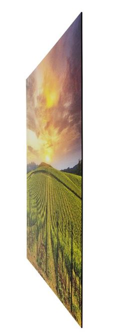 YHD Grapevines Wall Art-2