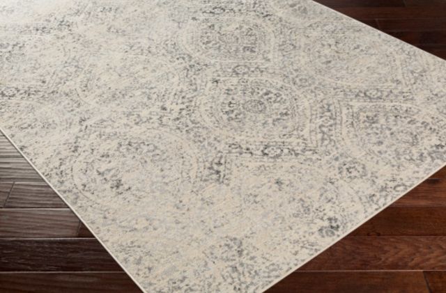 Surya City Light Cream/Light Gray 4'x6' Area Rug-3