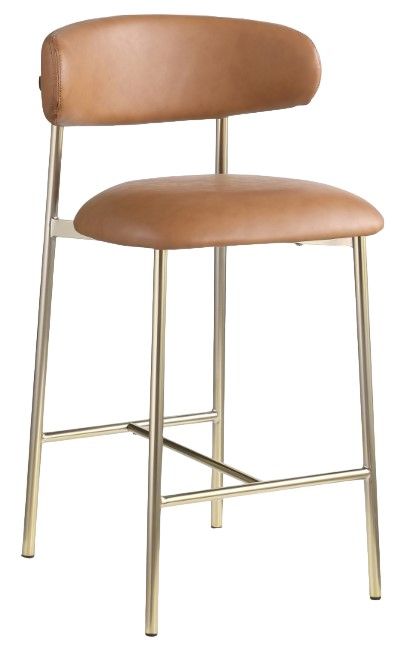 Meridian Furniture Lupita Brown/Brushed Gold Counter Stool-0