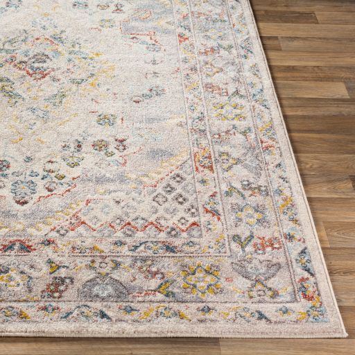 Surya Ankara Multi-Colored 8'x10' Area Rug-1
