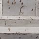 Signature Design by Ashley® Madsbrook Antique White Floor Lamp-3