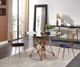 VIG Furniture Brenna 2-Piece Blue/Gold Dining Chair Set-1