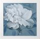 Stylecraft Flower I Blue/White Wall Art-0