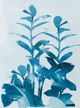 Stylecraft Blue/Light Blue/White Wall Art-1