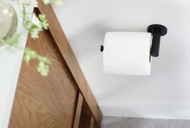 PEERLESS® Precept® Matte Black Toilet Paper Holder-2