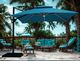 Blissful Umbrella And Base (Teal)-1