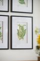 A & B Home 4-Piece Black/Green/White Fern Wall Art Set-3
