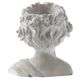 A & B Home Gray Goddess Bust Planter-3
