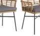A & B Home 2-Piece Beige/Gray Rattan Outddor Patio Furniture Dining Arm Chair Set-1