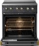 Viking® 5 Series 30" Cast Black Pro Style Induction Range with Brushed Brass Trim-1