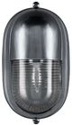 Currey & Company Maritime Clear/Silver Outdoor Wall Sconce-3