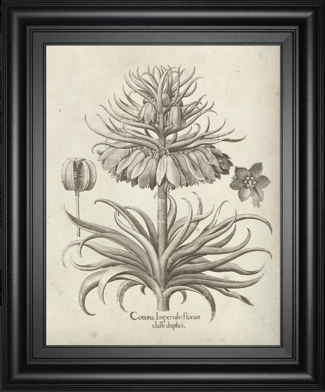 Classy Living Vision Studio Fresco Crown Imperial III Wall Art-0