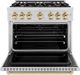 ZLINE Classic Autograph Edition 36" Stainless Steel Pro Style Dual Fuel Range with Polished Gold Accents-1
