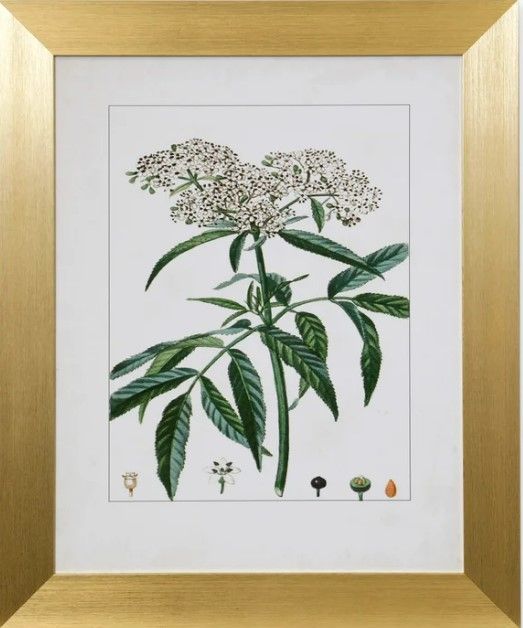 Stylecraft Antique Turpin Botanical VII Green/Gold Wall Art-0