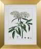 Stylecraft Antique Turpin Botanical VII Green/Gold Wall Art-0