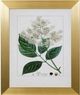 Stylecraft Antique Turpin Botanical V Green/Off-White Wall Art-0