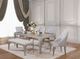 Furniture of America® Diocles 2-Piece Gray/Silver Dining Side Chair Set-4
