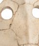 Wildwood Lamps Sulcata Whitewash Turtle Sculpture-1