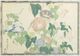 Stylecraft Large Flower Lilies Wall Art-0