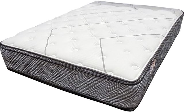 Restonic® Chirotonic 3000 Innerspring 13" Firm Euro Top Twin Mattress-0