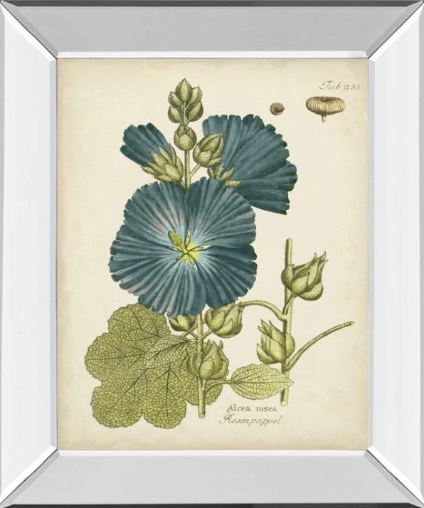 Classy Art Eloquent Botanical IV by Vision Studio Mirrored Frame Wall Art-0