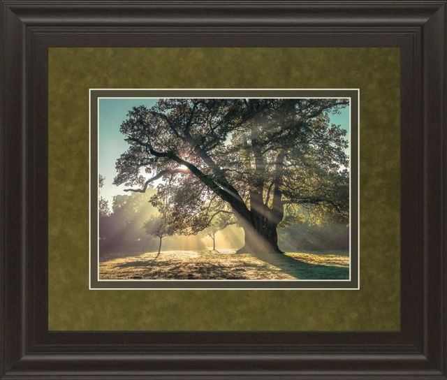 Classy Art Breaking Through by A. Frank Wall Art-0