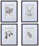 A & B Home 4-Piece Black/White Pencil Art Flower Print Set-1