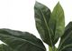 Monarch Specialties Inc. Green/Black 42" Artificial Potted Evergreen Tree-2