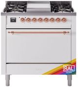 Custom RAL Color