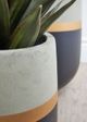 Le Present Belly Gold Black 18" Planter-2