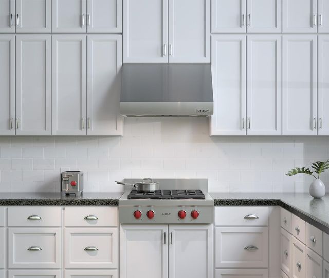 Wolf® 30" Stainless Steel Pro Wall Range Hood-1