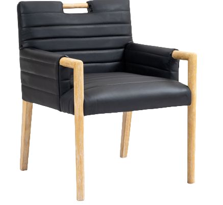 Meridian Furniture Aimee Black Vegan Leather Dining Arm Chair-0