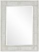 Century® Curate Reef Peninsula Mirror-0