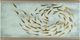 Hooker® Furniture Melange Koi Glass Top Cocktail Table with Champagne Gold Frame-3