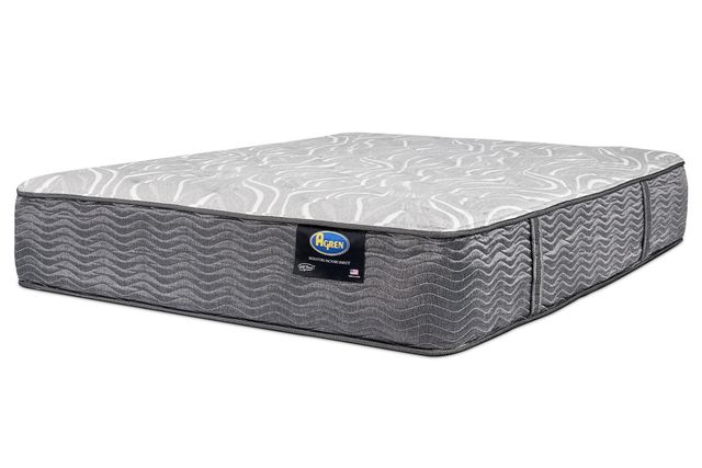 Agren Signature Factory Direct Eastport Wrapped Coil Plush Twin Flippable Mattress-0