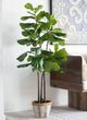 A & B Home Green 5' Artificial Fiddle-Leaf Tree in Pot-3