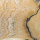 A & B Home Javier Beige Hand-Carved Zebra Onyx Bowl-1
