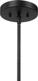 Uttermost® Holgate Black Pendant Light-4