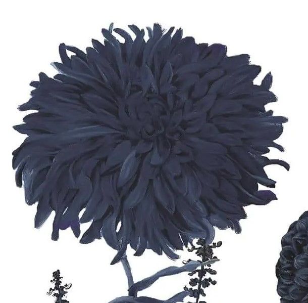 Classy Art Blue Shift I by Sophie Six Wall Art-2