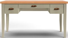 Legends Home Vineyard Sage Green/Fruitwood Writing Desk