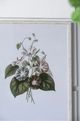 A & B Home 4-Piece White/Green Botanical Wall Arts Set-5