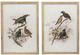 A & B Home 2-Piece Bird Framed Print Set-1