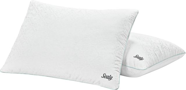 Sealy® Performance Dual-Comfort Standard Pillow-2